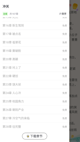 赏今小说