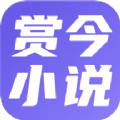 赏今小说去广告纯净版