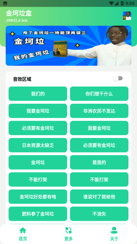 金坷垃盒
