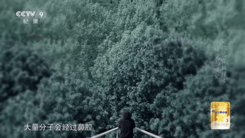 芸汐影视TV去广告版