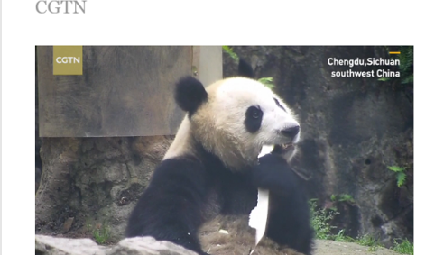 CGTN(中国国际电视台)App