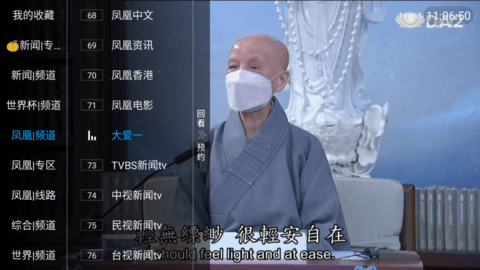 猪猪直播去广告版
