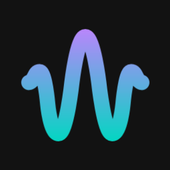 Wavelet专业版