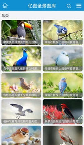 亿图App手机版
