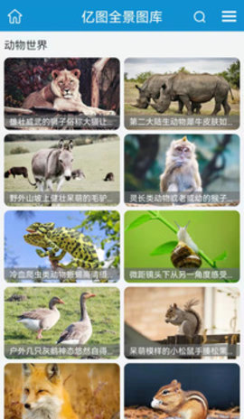 亿图App手机版