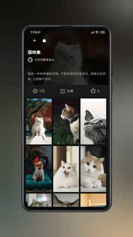 纸塘壁纸高清免费版