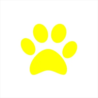 猫爪影院2023最新版