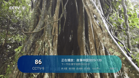 泰山TV