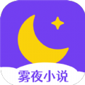 雾夜小说去广告纯净版