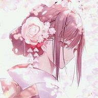 樱花次元盒2023最新版