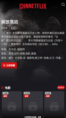 Chnnetflix影视去广告版