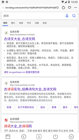 DT浏览器