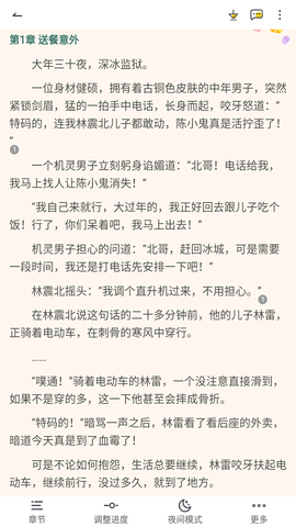 星容小说