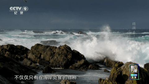凤凰TV电视直播app