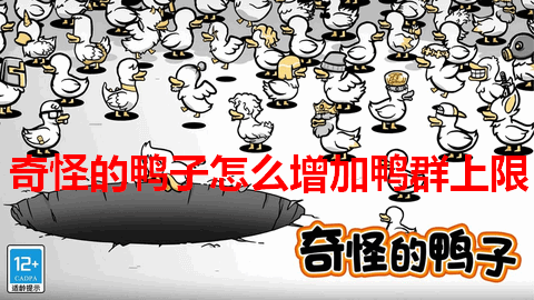 奇怪的鸭子怎么增加鸭群上限 奇怪的鸭子增加鸭群上限攻略