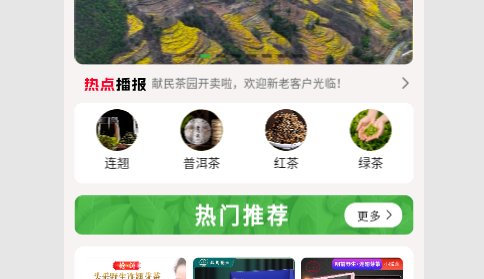 献民茶园2023最新版