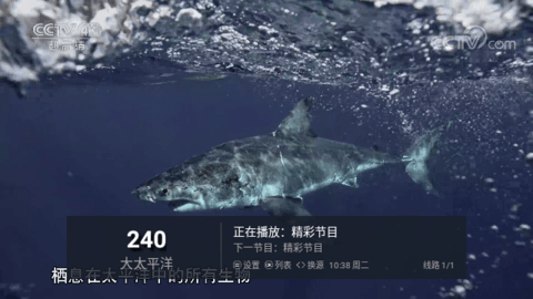 ZTHAIPTV电视直播app