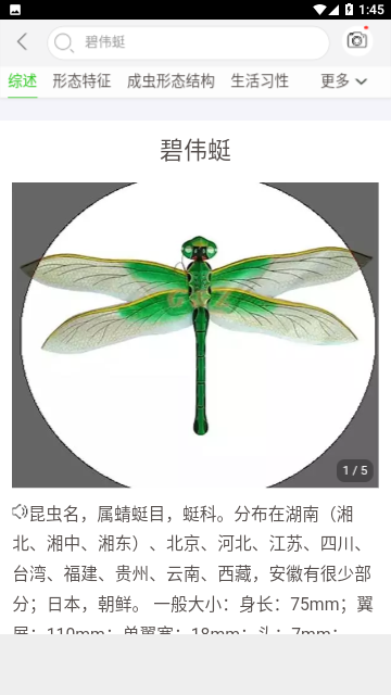 万物识别免费版