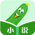 丝瓜小说VIP官方版