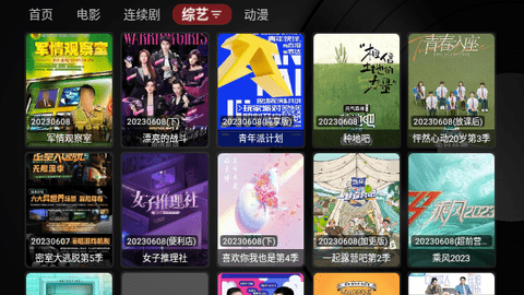 TVBox Max内置源版