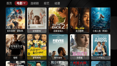 TVBox Max内置源版