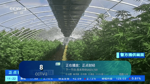 闪电TV2023最新版