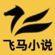 飞马小说无广告版