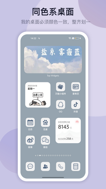 TopWidgets苹果版