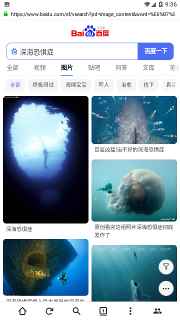 金桔社交浏览器免费版