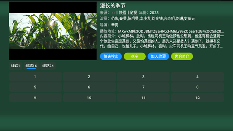 TV火炬仓2026最新版
