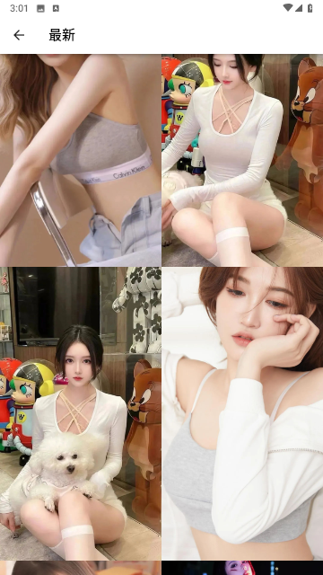 蛋播壁纸