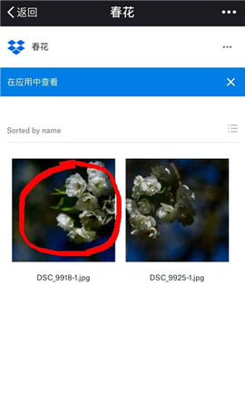 Dropbox2023最新版