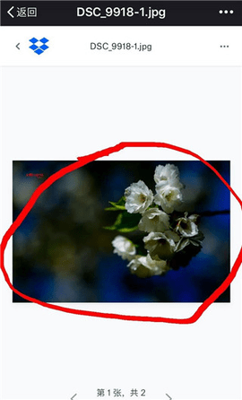 Dropbox2023最新版
