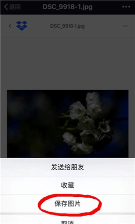 Dropbox2023最新版