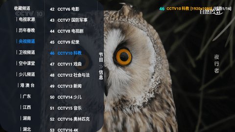 Screenshot_20230726-105859