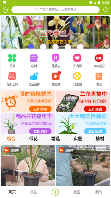 中国兰花交易网