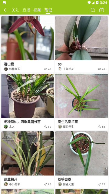 中国兰花交易网手机版