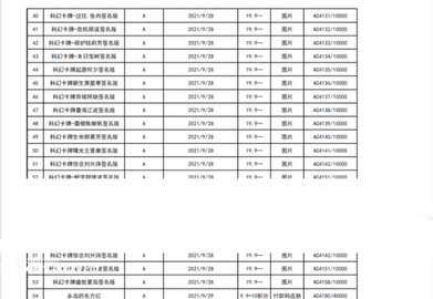 鲸探2023最新版