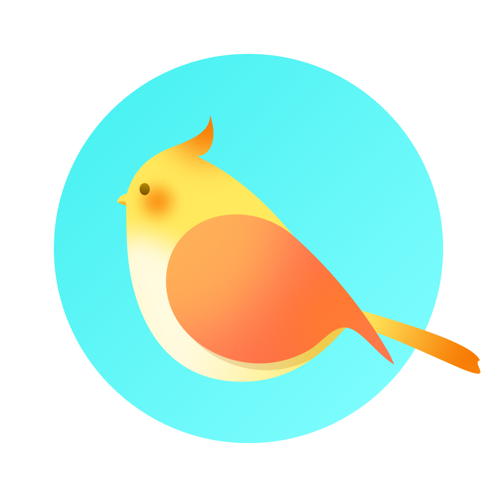 Pocket绘画大师App最新版