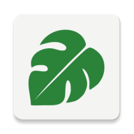 叶幕交友App最新版