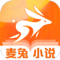 麦兔小说2023最新版