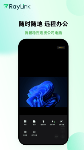 RayLink2025最新版