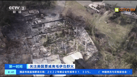 金马TV电视盒子版