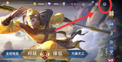 王者荣耀怎么隐藏贵族等级 王者荣耀中如何隐藏贵族标志