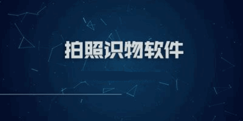 拍照识物app