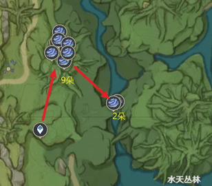 原神树王圣体菇快速采集路线图文攻略大全