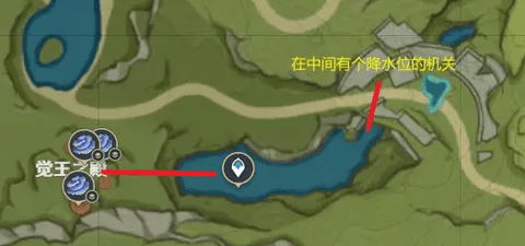 原神树王圣体菇快速采集路线图文攻略大全