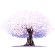 桜舞影视无广告版
