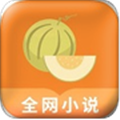 甜瓜小说会员免费版
