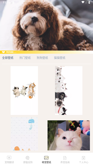 猫咪翻译助手最新版